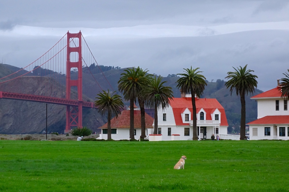 Crissy Field View