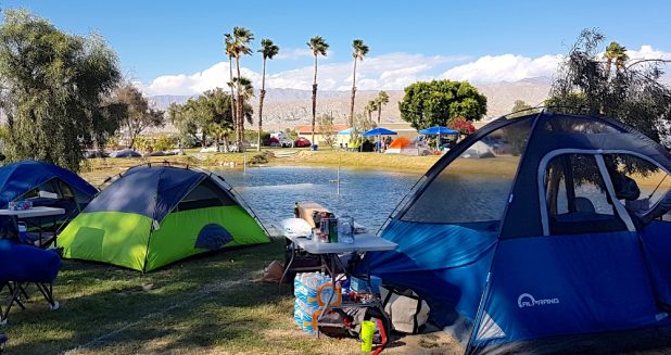 Coachella Camping Alone